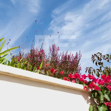 La Romana Holiday home
